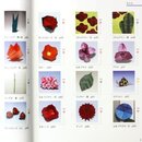 Takai: Hana no Origami - Origamiblumen