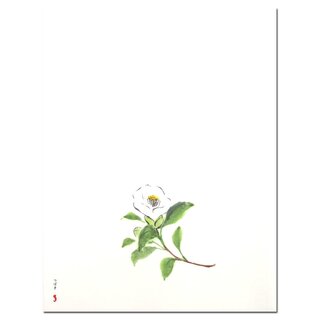 Briefpapierset Kamelie, 20 Blatt + 8 Umschlge